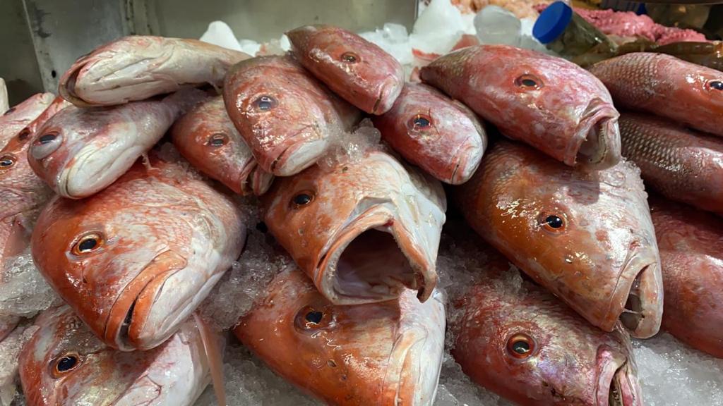 Mercado San Juan Pugibet-Pescadería Alicia 